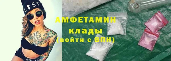 сатива Верея