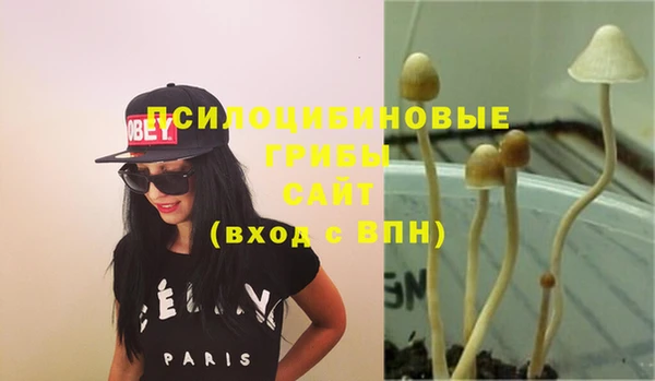 mdpv Верхний Тагил