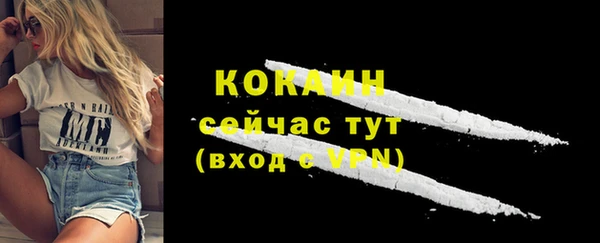 сатива Верея
