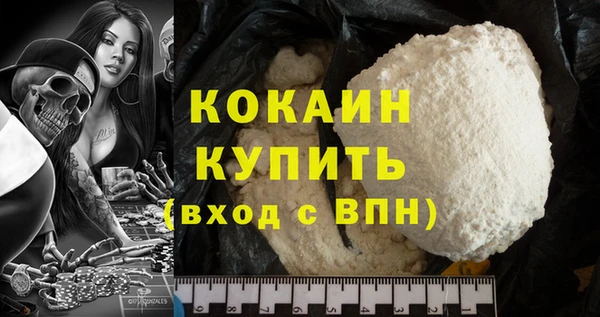 сатива Верея