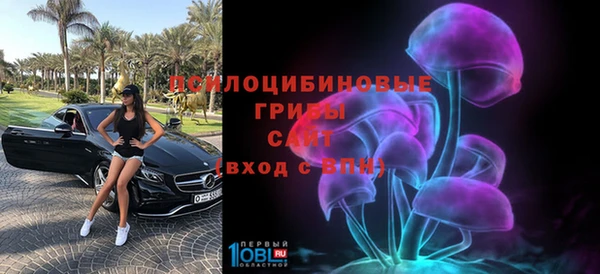 сатива Верея