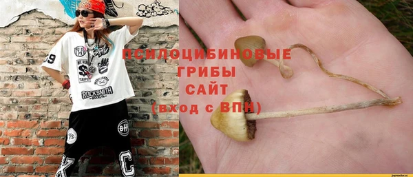 mdpv Верхний Тагил