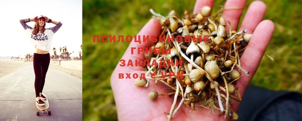 сатива Верея