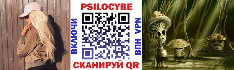 Псилоцибиновые грибы Cubensis  Купить  Советская Гавань 